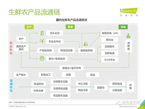 2020年中国生鲜农产品供应链研究报告